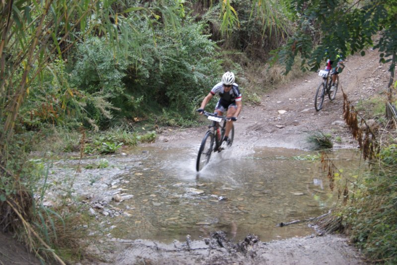 dsc07262.jpg