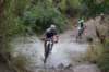 dsc07263_small.jpg