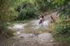 dsc07270_small.jpg