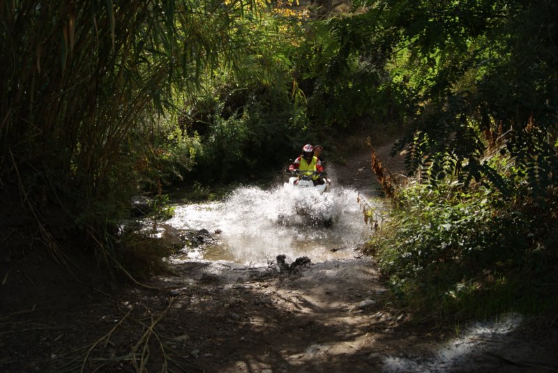dsc07274.jpg