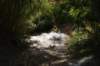 dsc07274_small.jpg