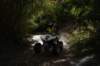 dsc07275_small.jpg