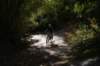dsc07277_small.jpg