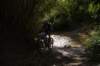 dsc07278_small.jpg