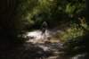 dsc07280_small.jpg