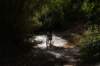 dsc07282_small.jpg