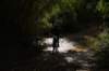 dsc07283_small.jpg