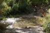dsc07287_small.jpg