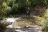 dsc07288_small.jpg