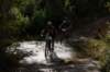 dsc07290_small.jpg