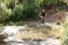 dsc07295_small.jpg