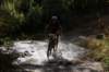 dsc07297_small.jpg