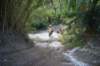 dsc07304_small.jpg