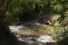 dsc07306_small.jpg