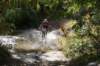 dsc07314_small.jpg