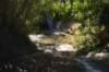 dsc07320_small.jpg