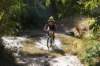 dsc07324_small.jpg