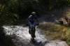 dsc07331_small.jpg