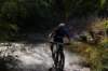 dsc07334_small.jpg