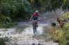 dsc07338_small.jpg