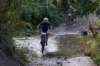dsc07342_small.jpg