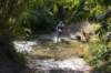 dsc07357_small.jpg