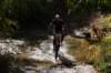 dsc07373_small.jpg