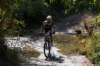 dsc07378_small.jpg