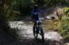 dsc07382_small.jpg