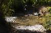 dsc07383_small.jpg
