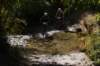 dsc07384_small.jpg