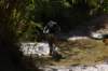 dsc07398_small.jpg