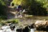 dsc07404_small.jpg