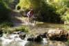 dsc07407_small.jpg