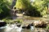 dsc07411_small.jpg