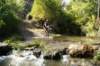 dsc07412_small.jpg