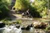 dsc07413_small.jpg