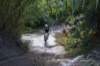 dsc07415_small.jpg