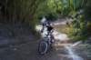 dsc07418_small.jpg