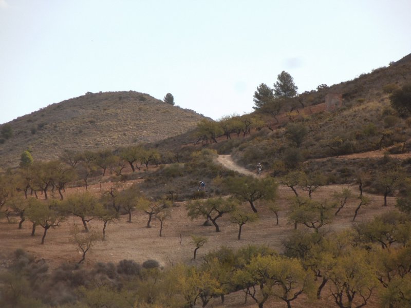 dscf9826.jpg