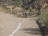 dscf9827_small.jpg