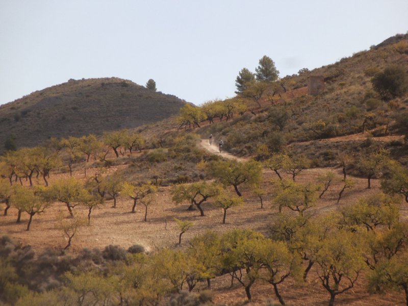 dscf9830.jpg