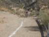 dscf9834_small.jpg