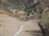 dscf9842_small.jpg