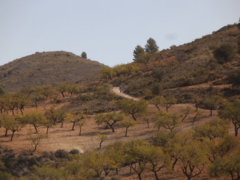 dscf9851.jpg