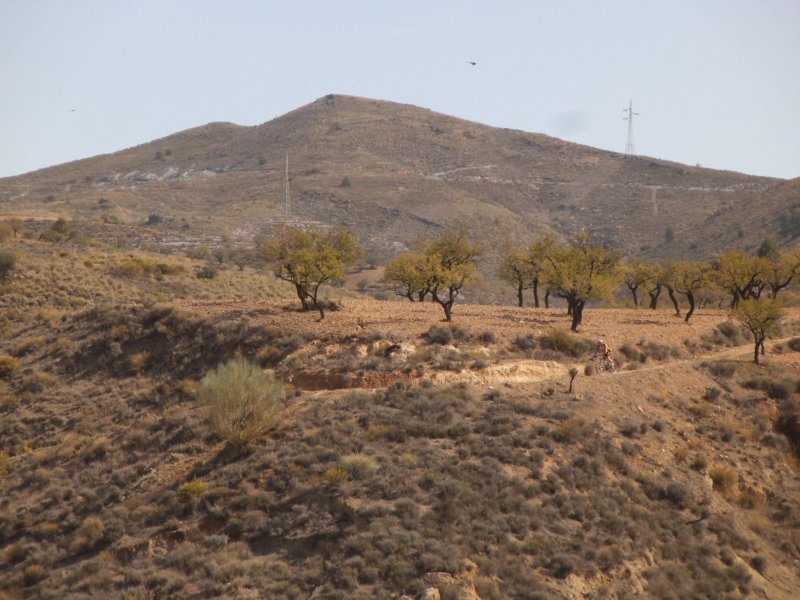 dscf9852.jpg