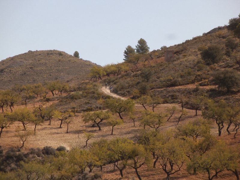 dscf9857.jpg