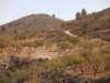 dscf9861_small.jpg