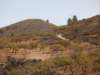 dscf9862_small.jpg