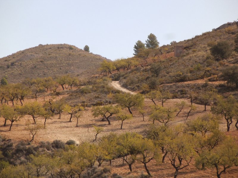 dscf9864.jpg